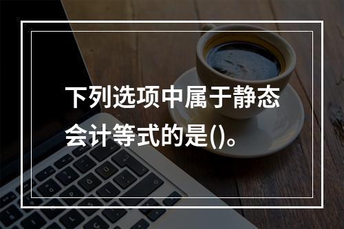 下列选项中属于静态会计等式的是()。