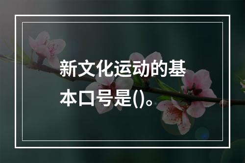 新文化运动的基本口号是()。