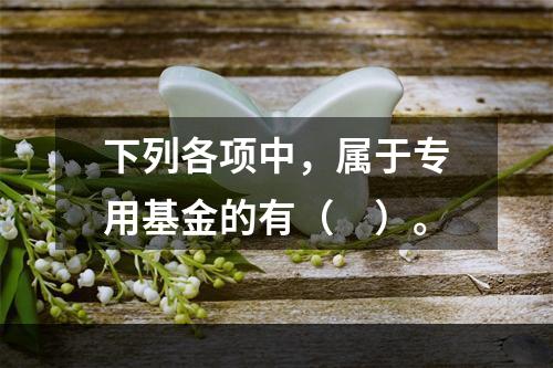 下列各项中，属于专用基金的有（　）。