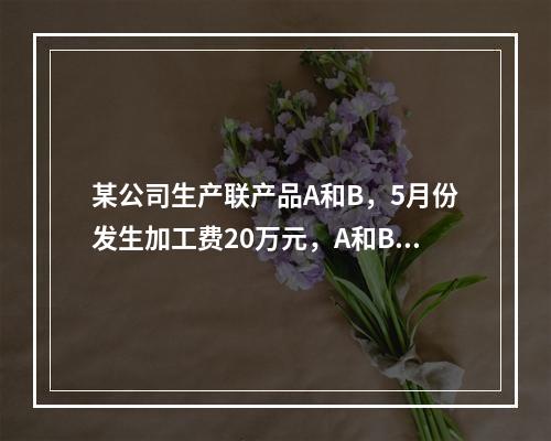 某公司生产联产品A和B，5月份发生加工费20万元，A和B在分