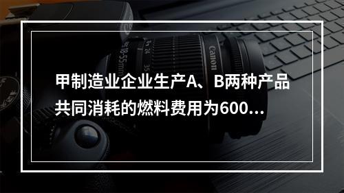 甲制造业企业生产A、B两种产品共同消耗的燃料费用为6000元