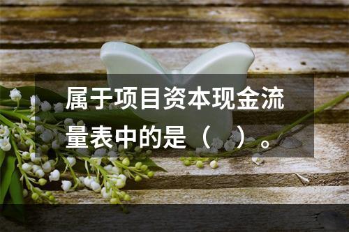 属于项目资本现金流量表中的是（　）。