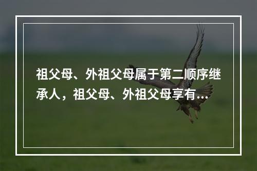 祖父母、外祖父母属于第二顺序继承人，祖父母、外祖父母享有继承