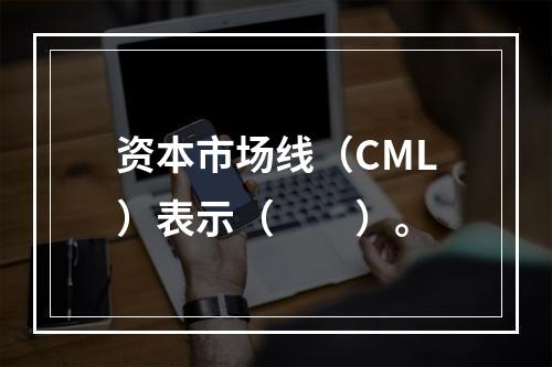 资本市场线（CML）表示（　　）。