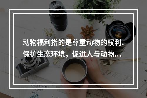 动物福利指的是尊重动物的权利、保护生态环境，促进人与动物协调