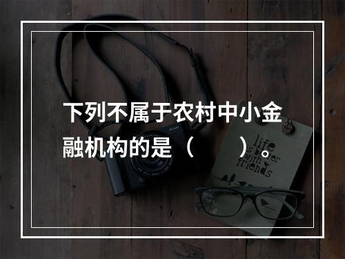 下列不属于农村中小金融机构的是（　　）。