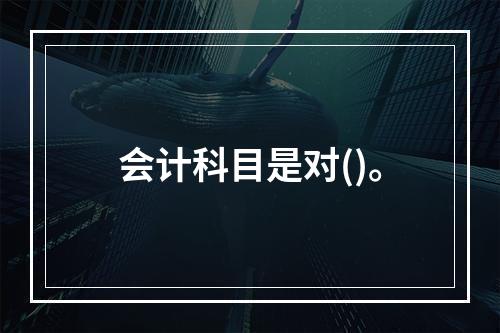 会计科目是对()。