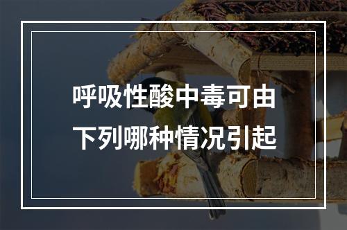 呼吸性酸中毒可由下列哪种情况引起