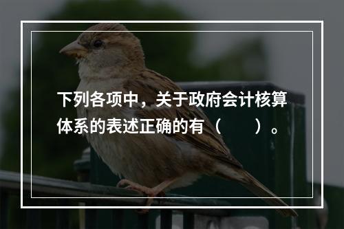 下列各项中，关于政府会计核算体系的表述正确的有（　　）。