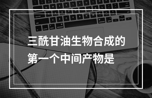 三酰甘油生物合成的第一个中间产物是