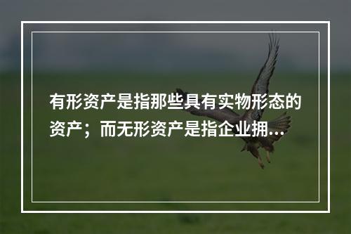 有形资产是指那些具有实物形态的资产；而无形资产是指企业拥有或