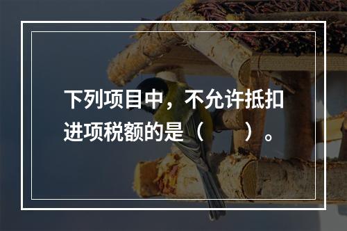 下列项目中，不允许抵扣进项税额的是（　　）。