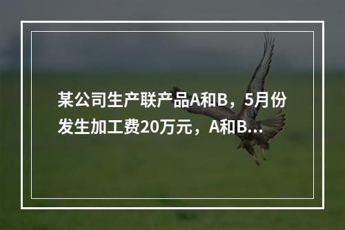 某公司生产联产品A和B，5月份发生加工费20万元，A和B在分