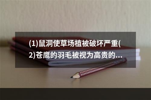 (1)鼠洞使草场植被破坏严重(2)苍鹰的羽毛被视为高贵的装饰