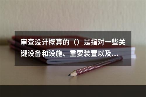 审查设计概算的（）是指对一些关键设备和设施、重要装置以及图纸