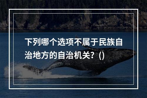 下列哪个选项不属于民族自治地方的自治机关？()