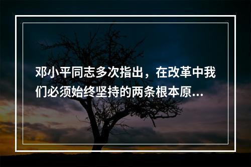 邓小平同志多次指出，在改革中我们必须始终坚持的两条根本原则是