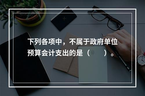 下列各项中，不属于政府单位预算会计支出的是（　　）。