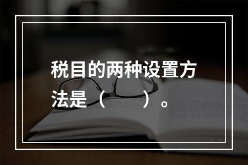 税目的两种设置方法是（　　）。