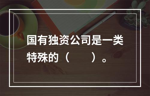 国有独资公司是一类特殊的（　　）。