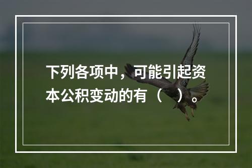 下列各项中，可能引起资本公积变动的有（　）。