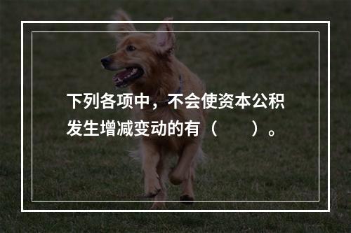 下列各项中，不会使资本公积发生增减变动的有（　　）。