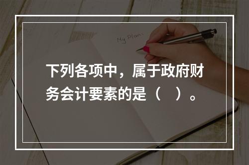 下列各项中，属于政府财务会计要素的是（　）。