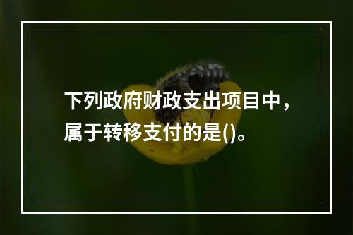 下列政府财政支出项目中，属于转移支付的是()。