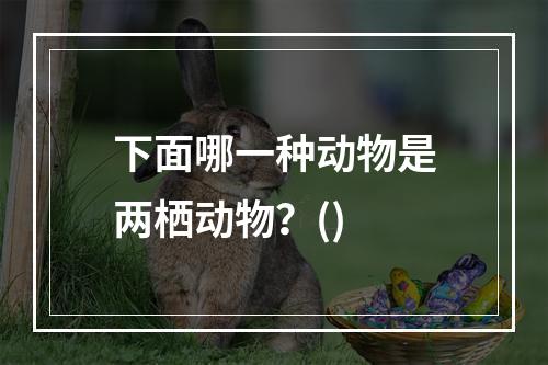 下面哪一种动物是两栖动物？()