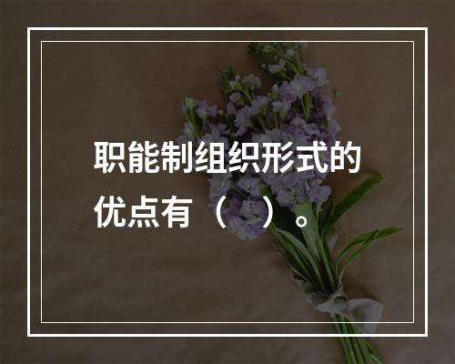 职能制组织形式的优点有（　）。