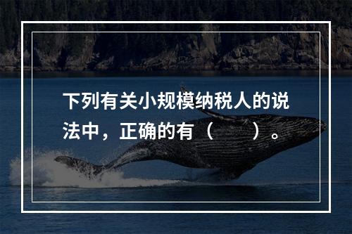 下列有关小规模纳税人的说法中，正确的有（　　）。