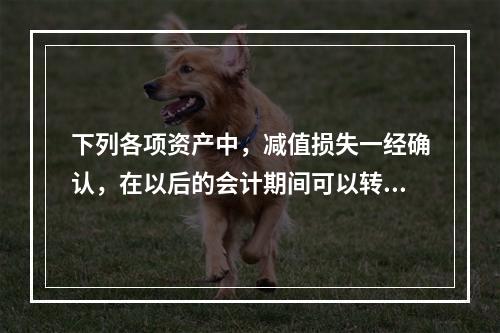 下列各项资产中，减值损失一经确认，在以后的会计期间可以转回的