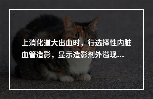 上消化道大出血时，行选择性内脏血管造影，显示造影剂外溢现象，