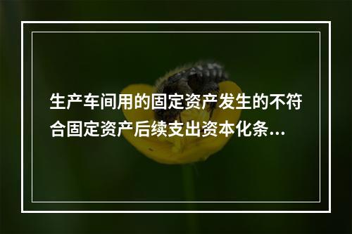 生产车间用的固定资产发生的不符合固定资产后续支出资本化条件的