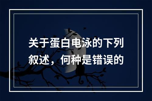 关于蛋白电泳的下列叙述，何种是错误的