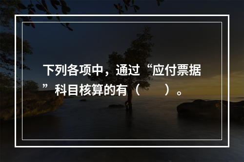 下列各项中，通过“应付票据”科目核算的有（　　）。