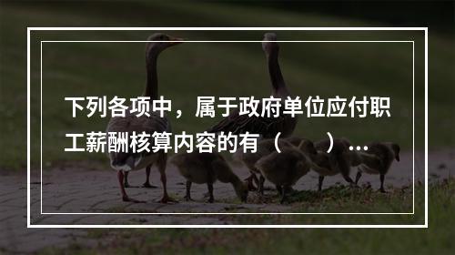 下列各项中，属于政府单位应付职工薪酬核算内容的有（　　）。