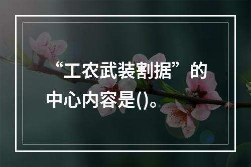 “工农武装割据”的中心内容是()。