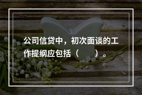 公司信贷中，初次面谈的工作提纲应包括（　　）。