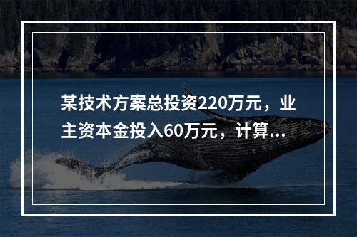 某技术方案总投资220万元，业主资本金投入60万元，计算期为