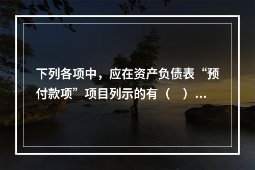 下列各项中，应在资产负债表“预付款项”项目列示的有（　）。