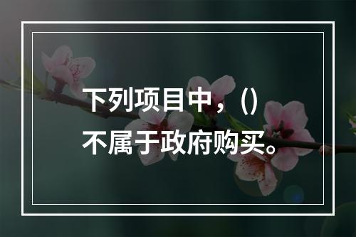 下列项目中，()不属于政府购买。