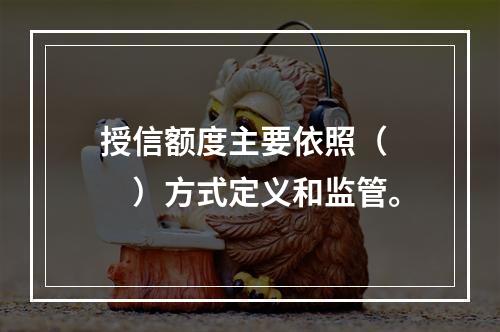 授信额度主要依照（　　）方式定义和监管。