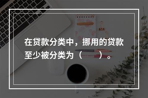 在贷款分类中，挪用的贷款至少被分类为（　　）。