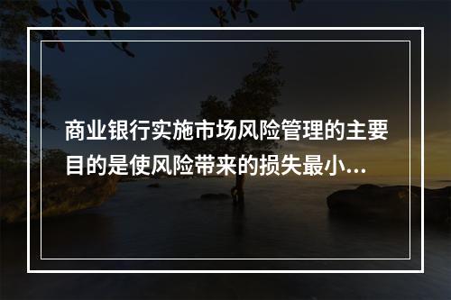 商业银行实施市场风险管理的主要目的是使风险带来的损失最小。（