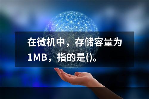 在微机中，存储容量为1MB，指的是()。