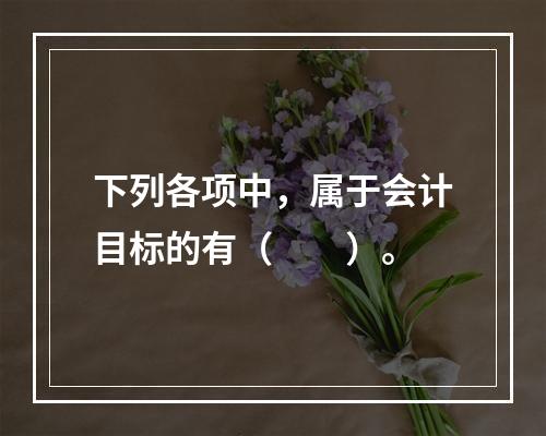 下列各项中，属于会计目标的有（　　）。