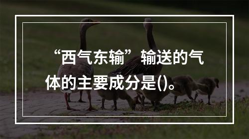 “西气东输”输送的气体的主要成分是()。