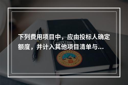 下列费用项目中，应由投标人确定额度，并计入其他项目清单与计价