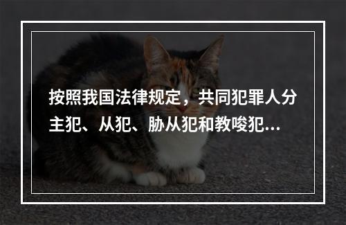 按照我国法律规定，共同犯罪人分主犯、从犯、胁从犯和教唆犯。其